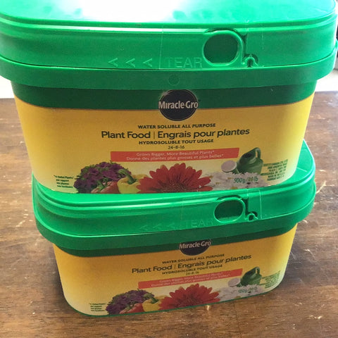 Miracle gro plant food 1 lb tub