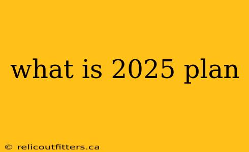 what is 2025 plan