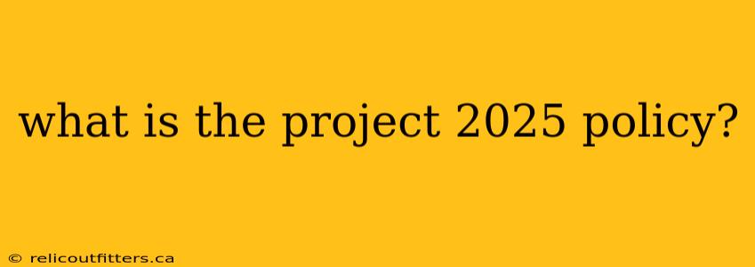 what is the project 2025 policy?